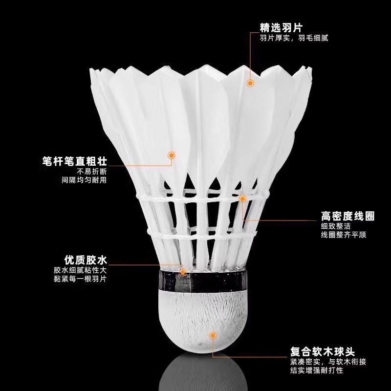 라이온 배드민턴 셔틀콕 거위털 12개입 내구성 킹 화이 - Badminton Victory 리뷰 및 가격