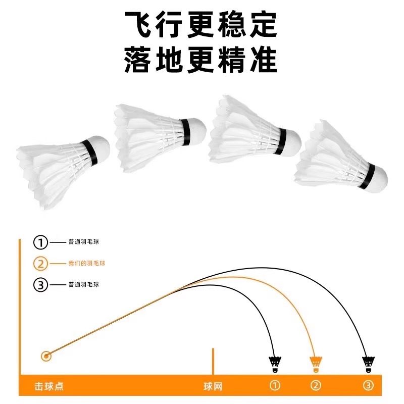 라이온 배드민턴 셔틀콕 거위털 12개입 내구성 킹 화이 - Badminton Victory 리뷰 및 가격